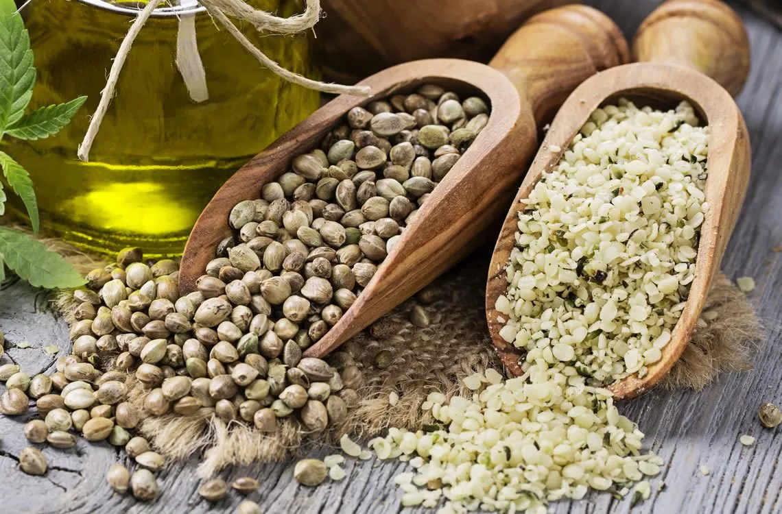 hạt gai dầu hemp seeds 1