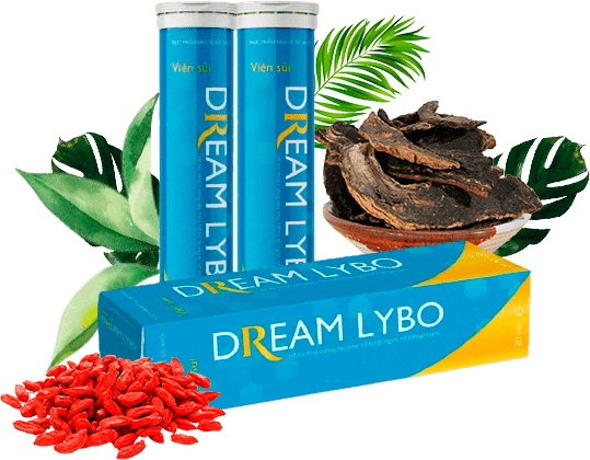 viên sủi dream lybo giá bao nhiêu