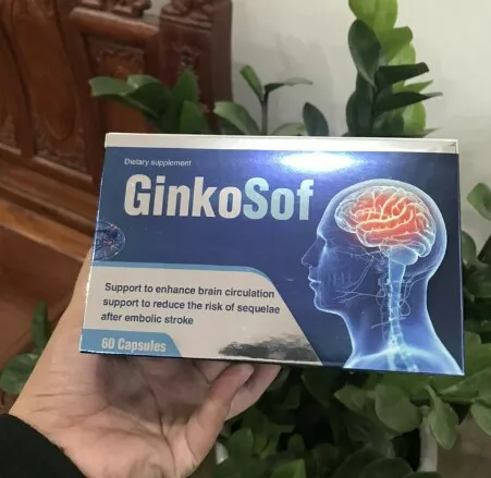 Ginkosoft