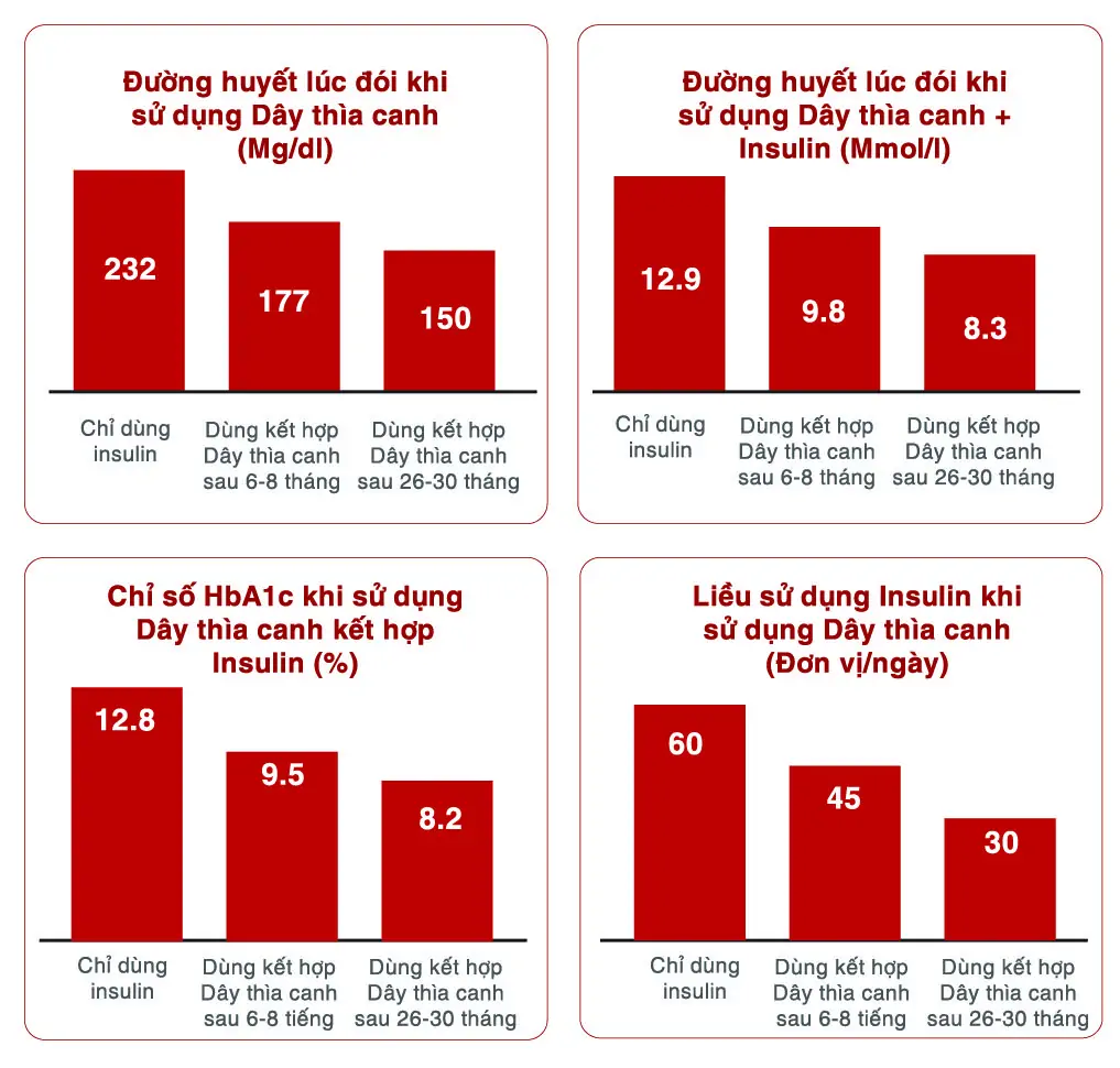 dây thìa canh kết hợp insulin