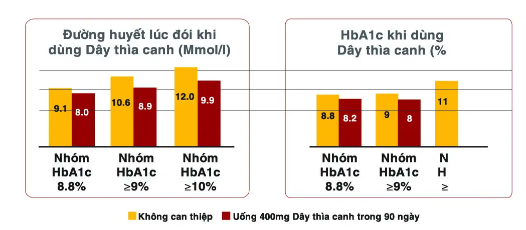 dùng đơn độc dây thìa canh